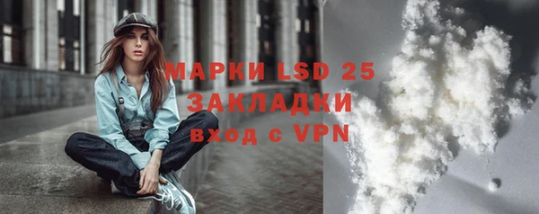 индика Алзамай