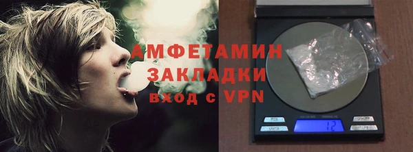 индика Алзамай