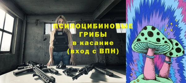 индика Алзамай
