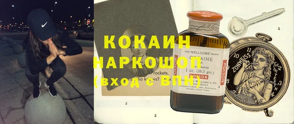 индика Алзамай