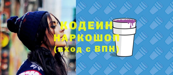 индика Алзамай