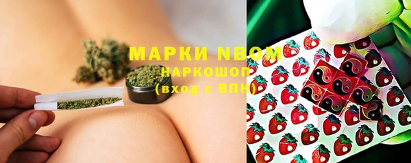 индика Алзамай